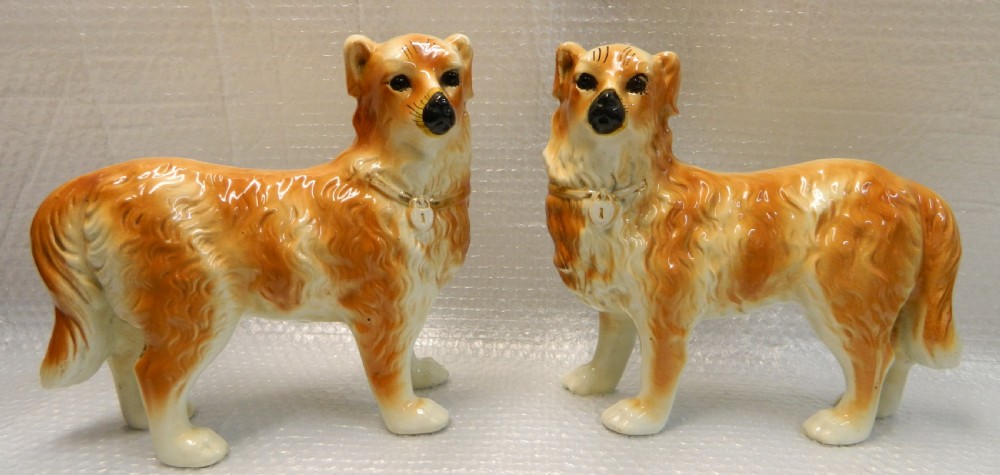 pair of staffordshire collie dogs